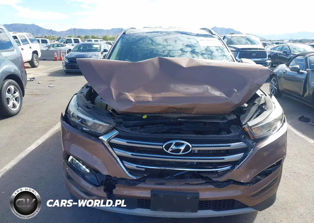2017 Hyundai Tucson Limited VIN:KM8J33A24HU343889 - 12