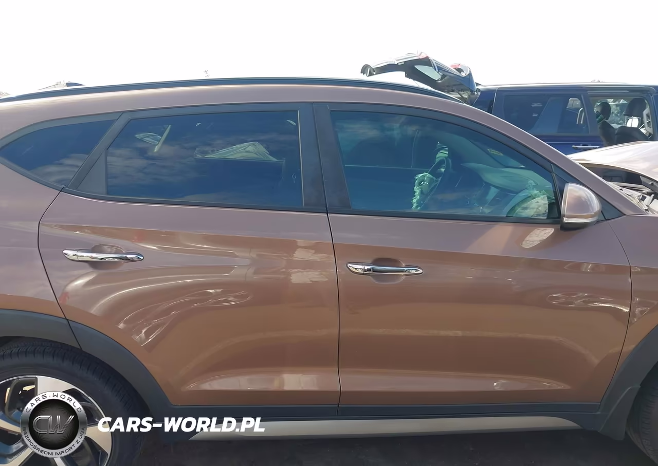 2017 Hyundai Tucson Limited VIN:KM8J33A24HU343889 - 13
