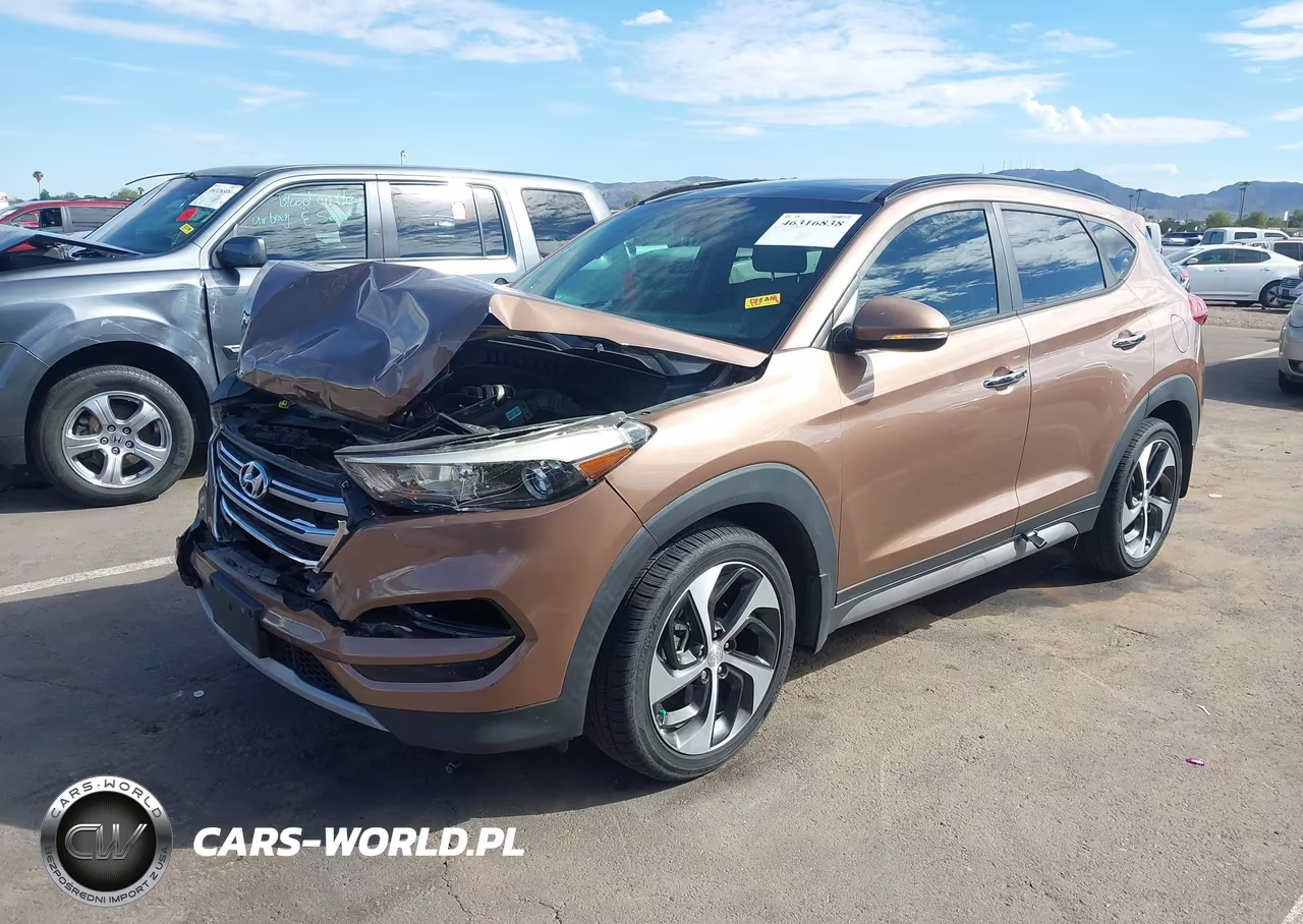 2017 Hyundai Tucson Limited VIN:KM8J33A24HU343889 - 2
