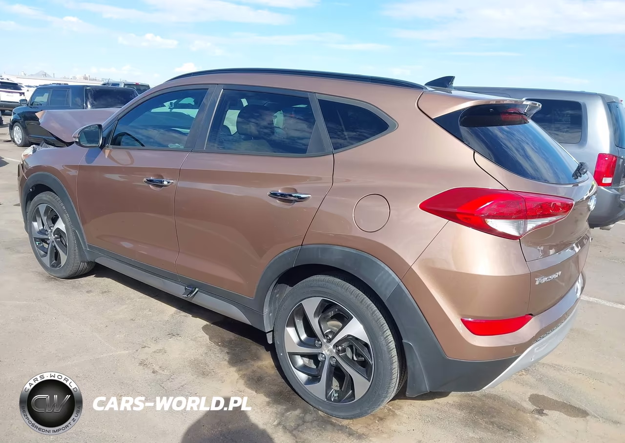 2017 Hyundai Tucson Limited VIN:KM8J33A24HU343889 - 3
