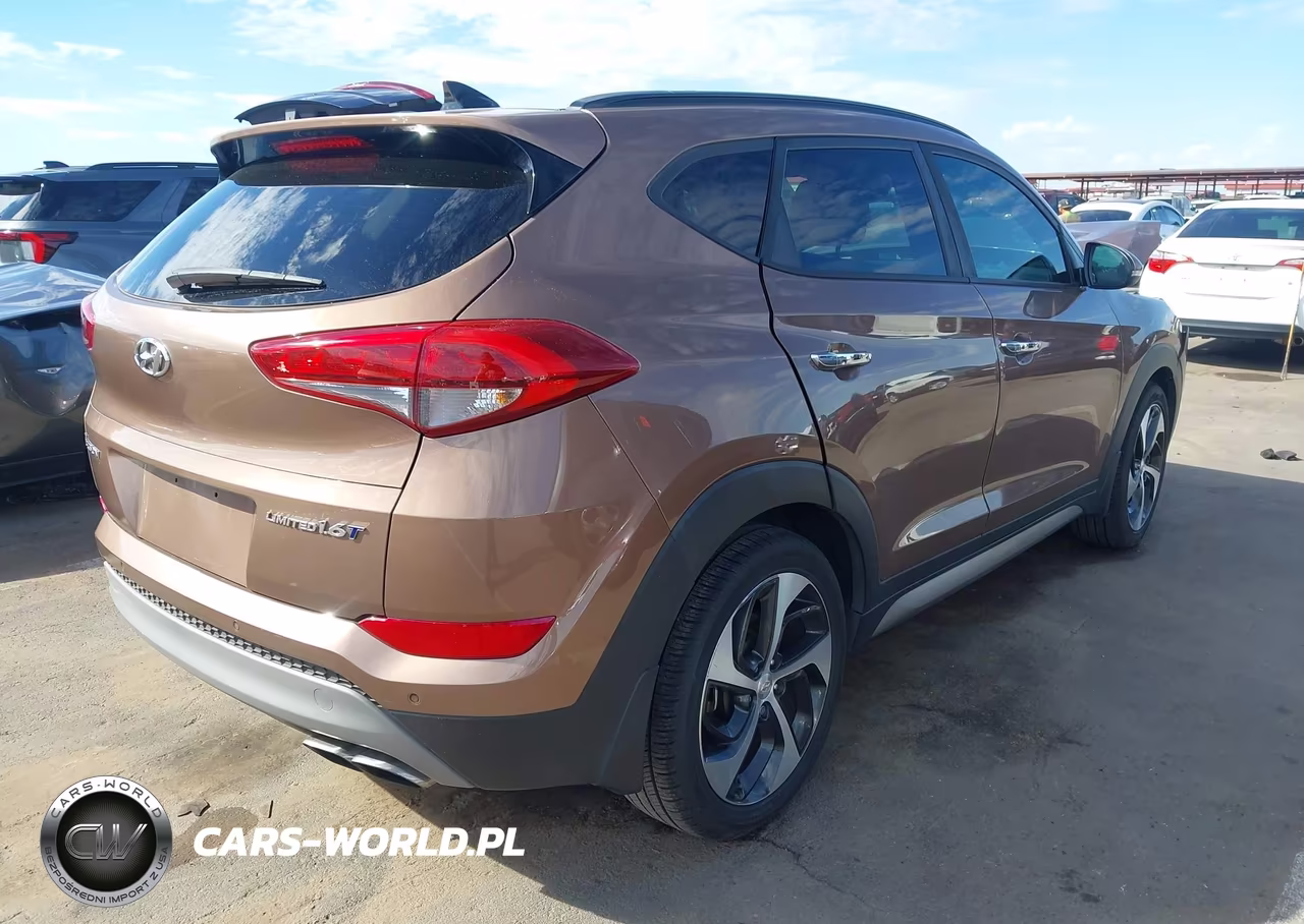 2017 Hyundai Tucson Limited VIN:KM8J33A24HU343889 - 4