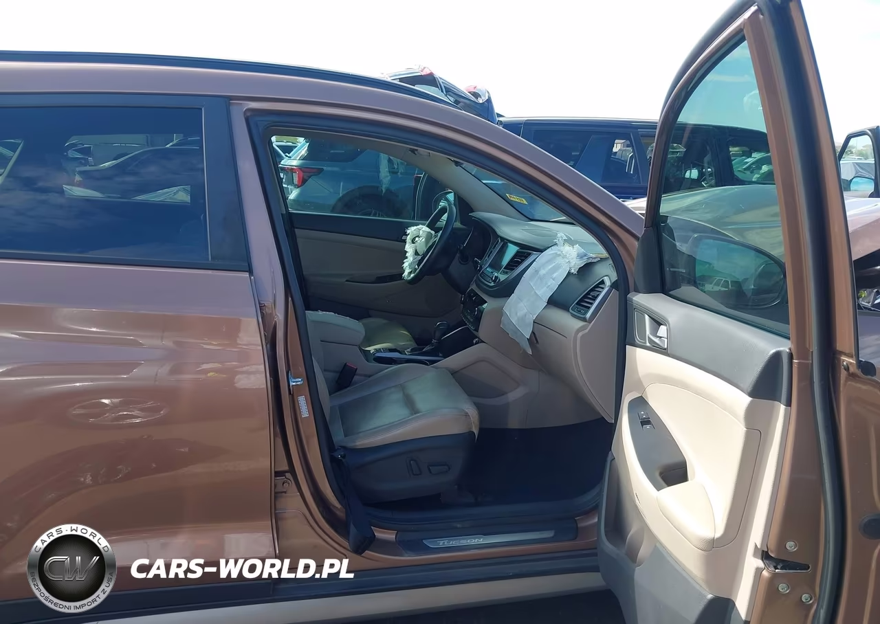 2017 Hyundai Tucson Limited VIN:KM8J33A24HU343889 - 5
