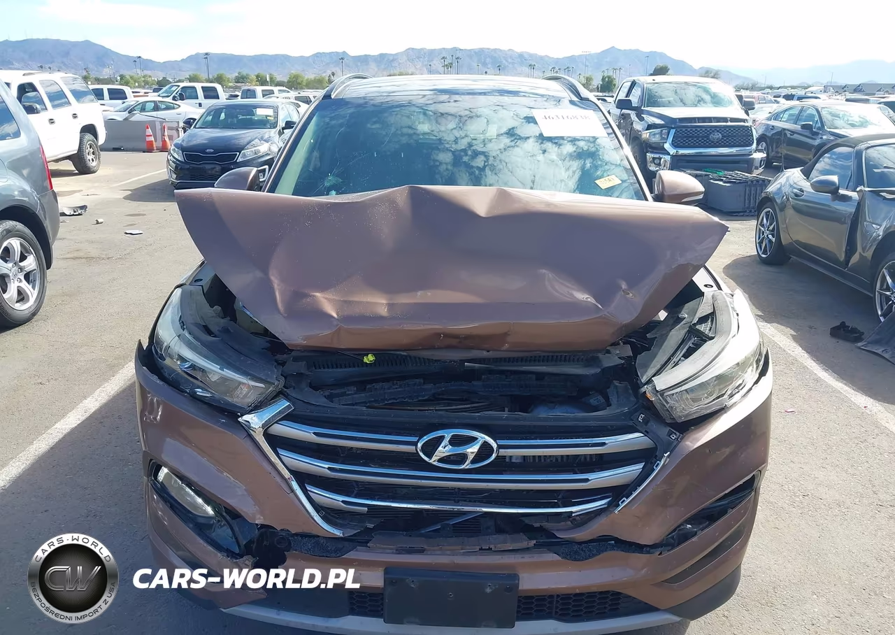 2017 Hyundai Tucson Limited VIN:KM8J33A24HU343889 - 6