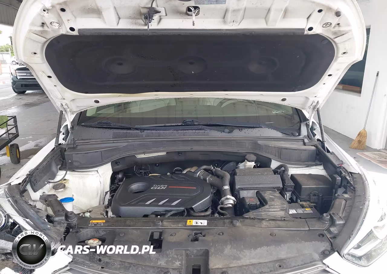 2017 Hyundai Santa Fe Sport 2.0T Ultimate VIN:5XYZW4LA8HG498357 - 10