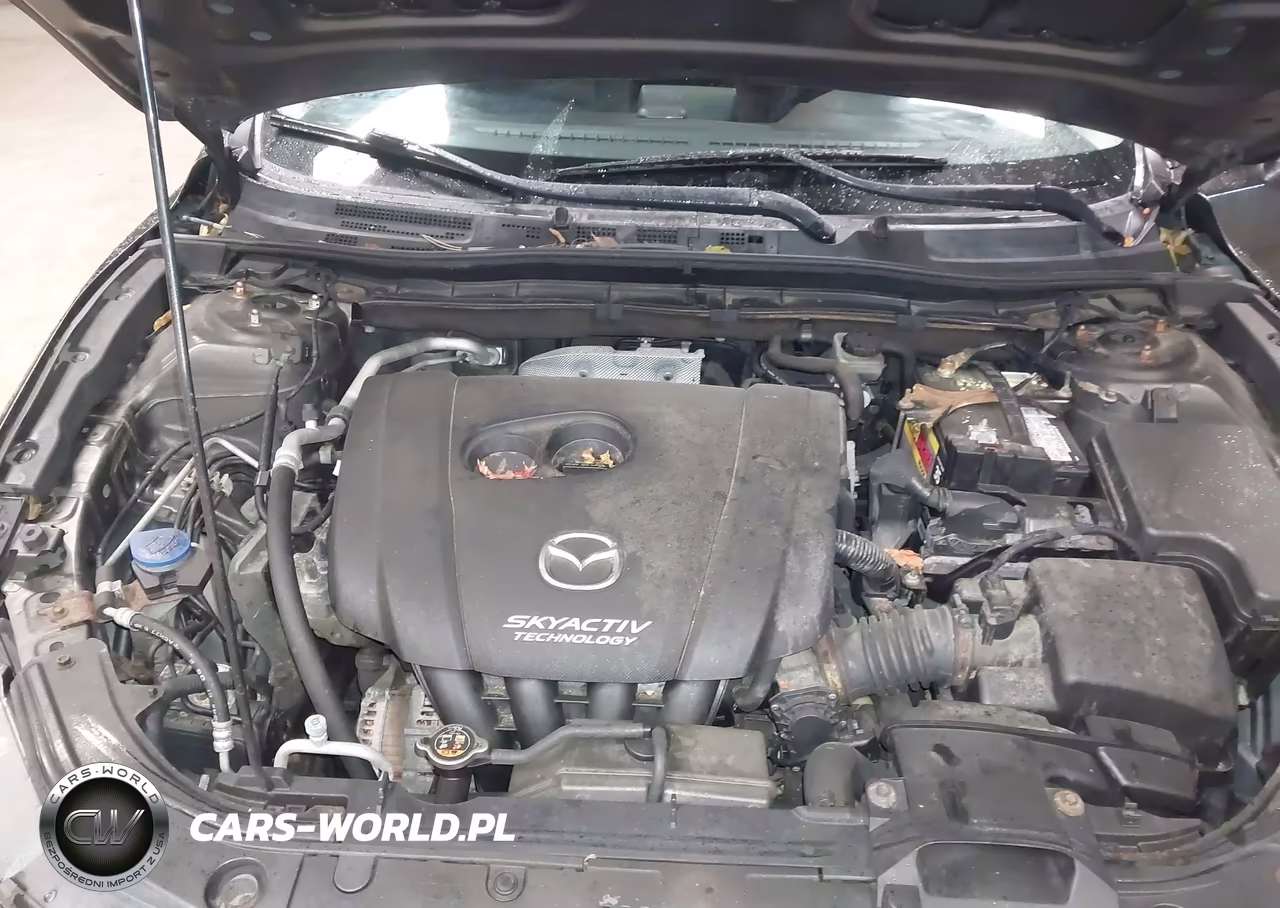 2014 Mazda Mazda3 I Sport VIN:JM1BM1U79E1120844 - 10
