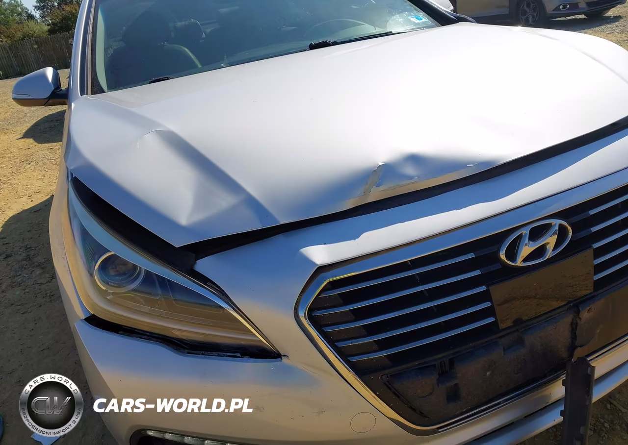 2016 Hyundai Sonata Hybrid Ultimate VIN:KMHE34L1XGA008177 - 6