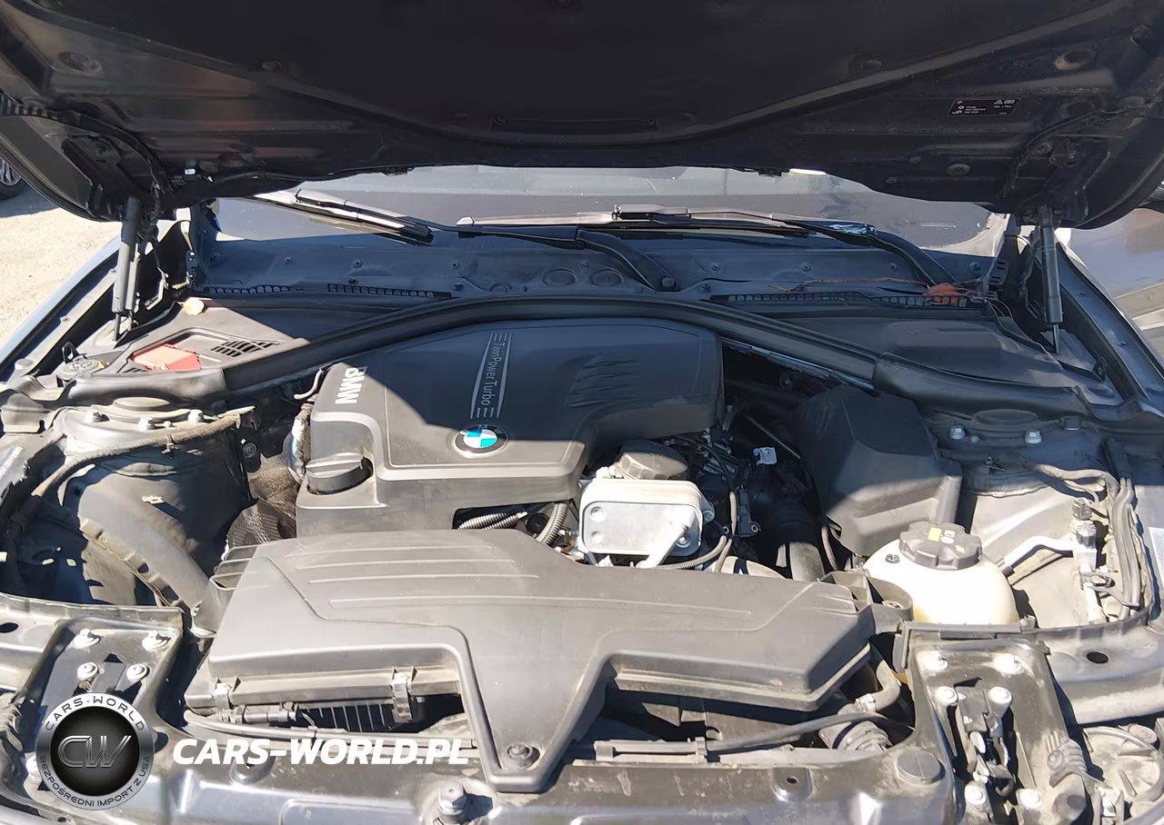 2016 BMW 428I Gran Coupe VIN:WBA4A9C52GG506146 - 10