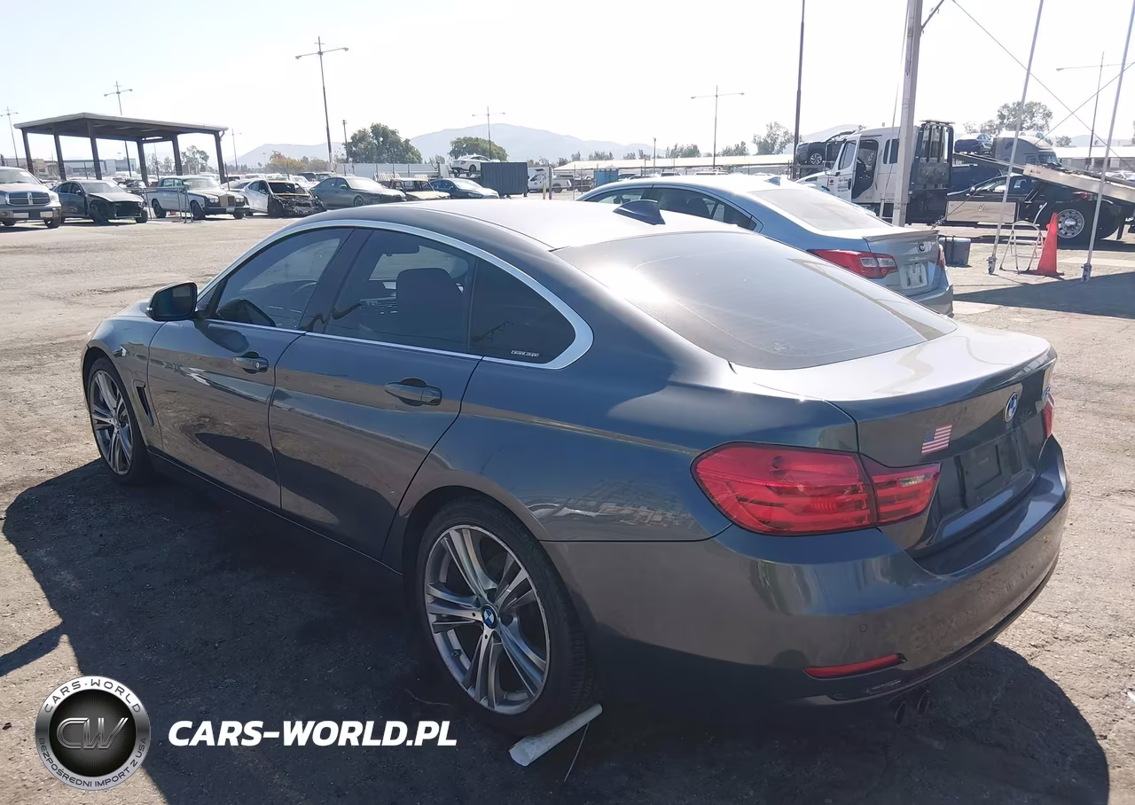 2016 BMW 428I Gran Coupe VIN:WBA4A9C52GG506146 - 3