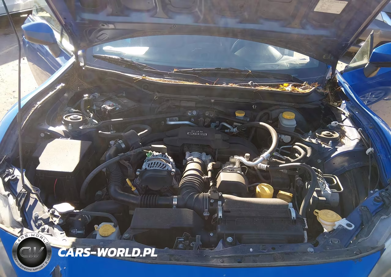 2013 Subaru Brz Limited VIN:JF1ZCAC1XD1606744 - 10
