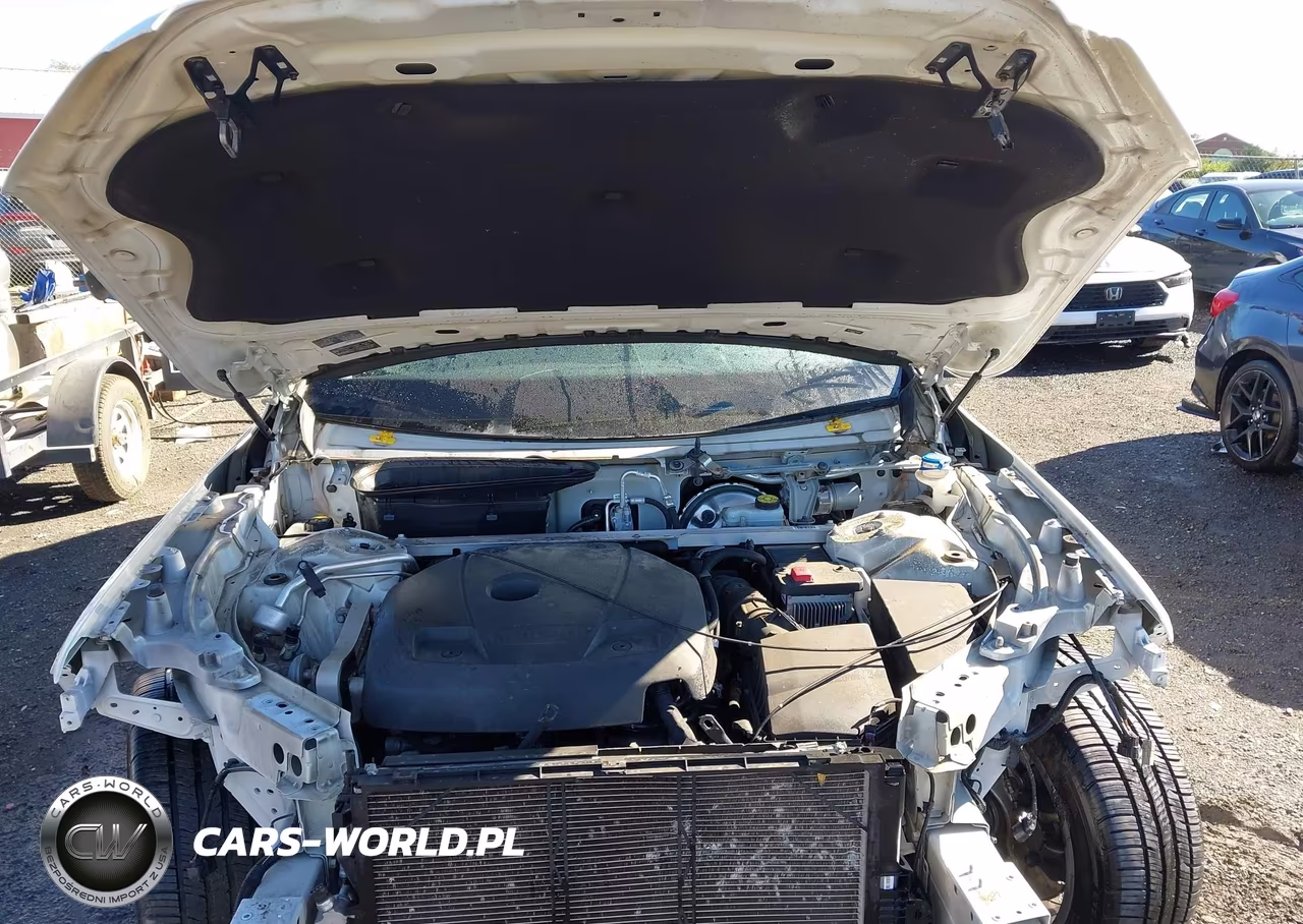 2019 Volvo Xc90 T6 Momentum VIN:YV4A22PK9K1484519 - 10