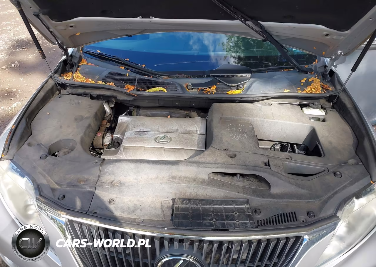 2010 Lexus Rx 350 VIN:2T2BK1BA8AC048542 - 10