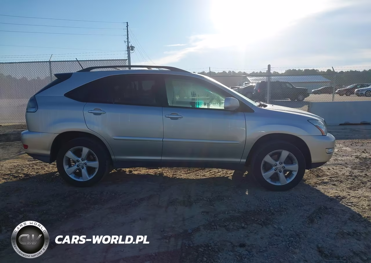 2004 Lexus Rx 330 VIN:JTJGA31U540036123 - 15