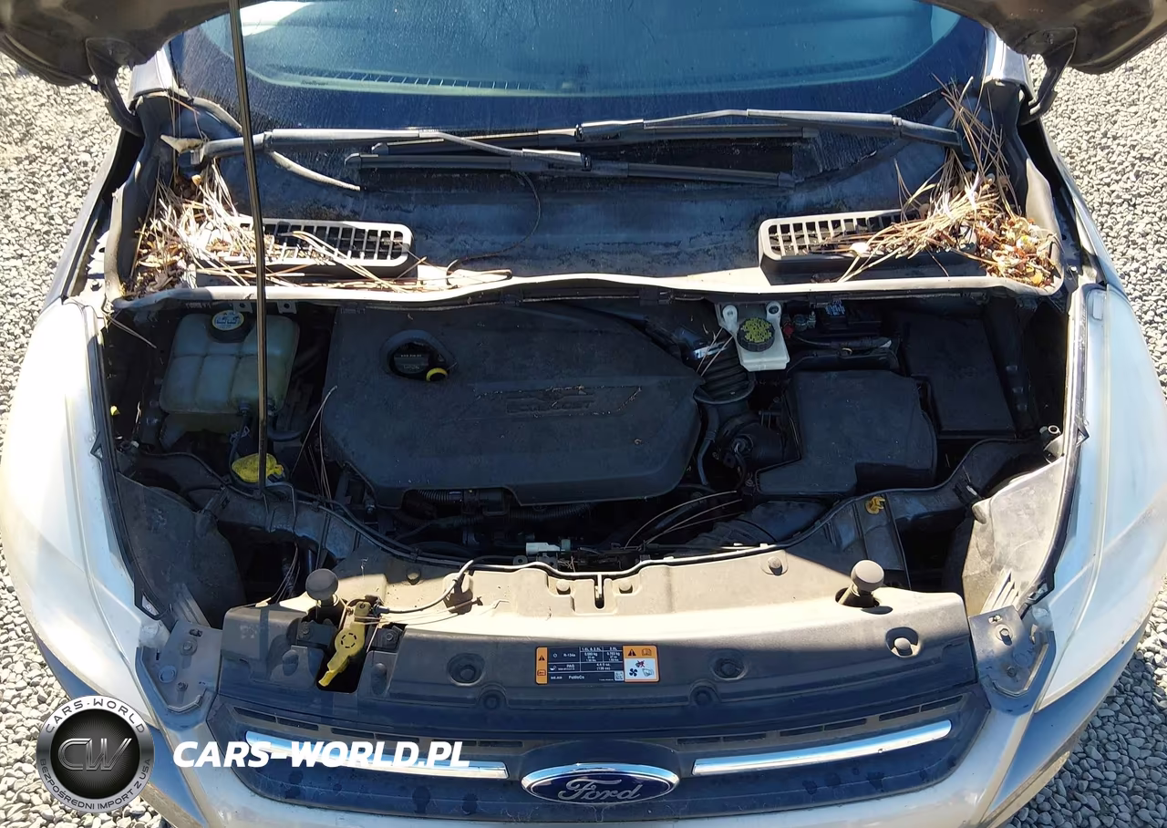 2014 Ford Escape Se VIN:1FMCU0GX9EUD72517 - 10