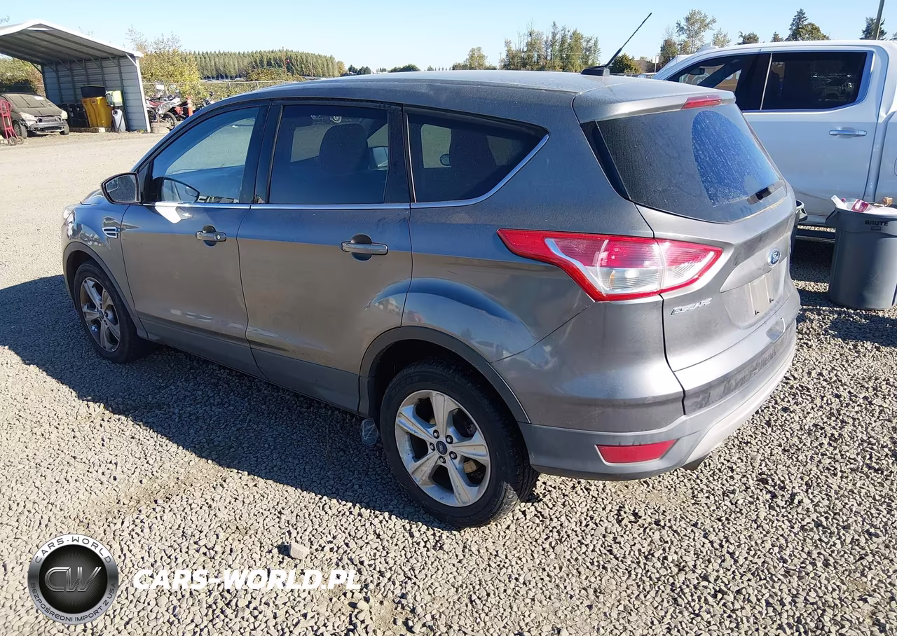 2014 Ford Escape Se VIN:1FMCU0GX9EUD72517 - 3
