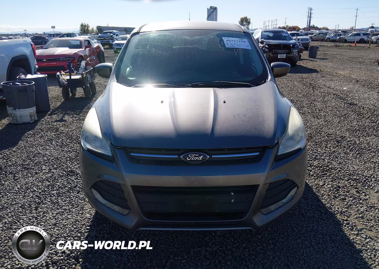 2014 Ford Escape Se VIN:1FMCU0GX9EUD72517 - 6