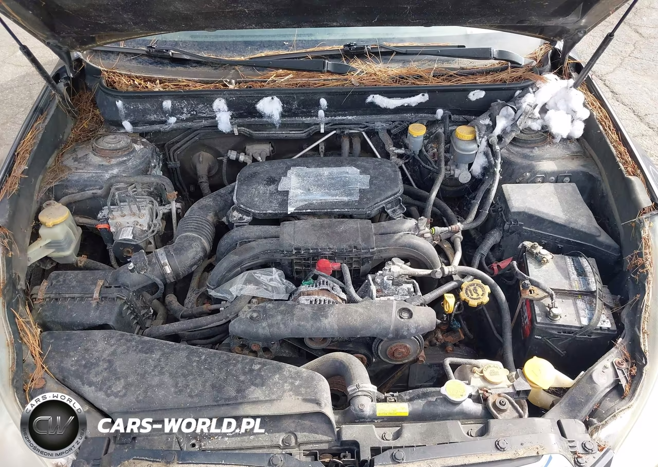 2012 Subaru Outback 2.5I Premium VIN:4S4BRBFC9C1224910 - 10