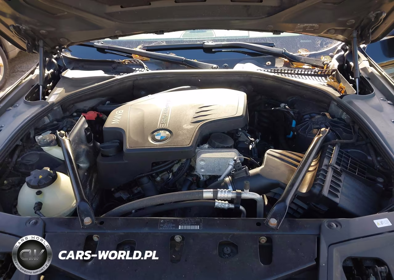 2012 BMW 528I xDrive VIN:WBAXH5C50CDW10387 - 10