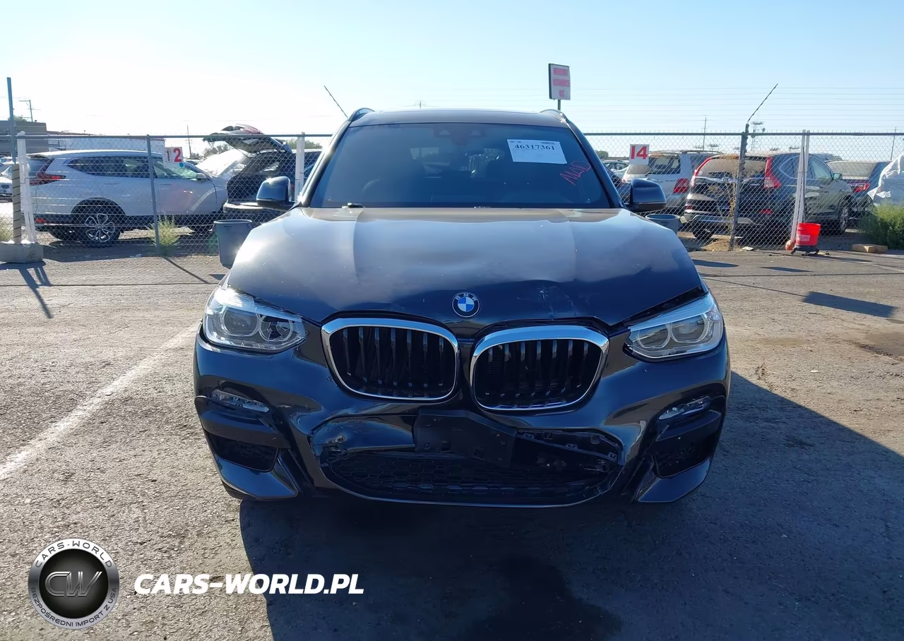 2019 BMW X3 Sdrive30I VIN:5UXTR7C51KLF29463 - 12