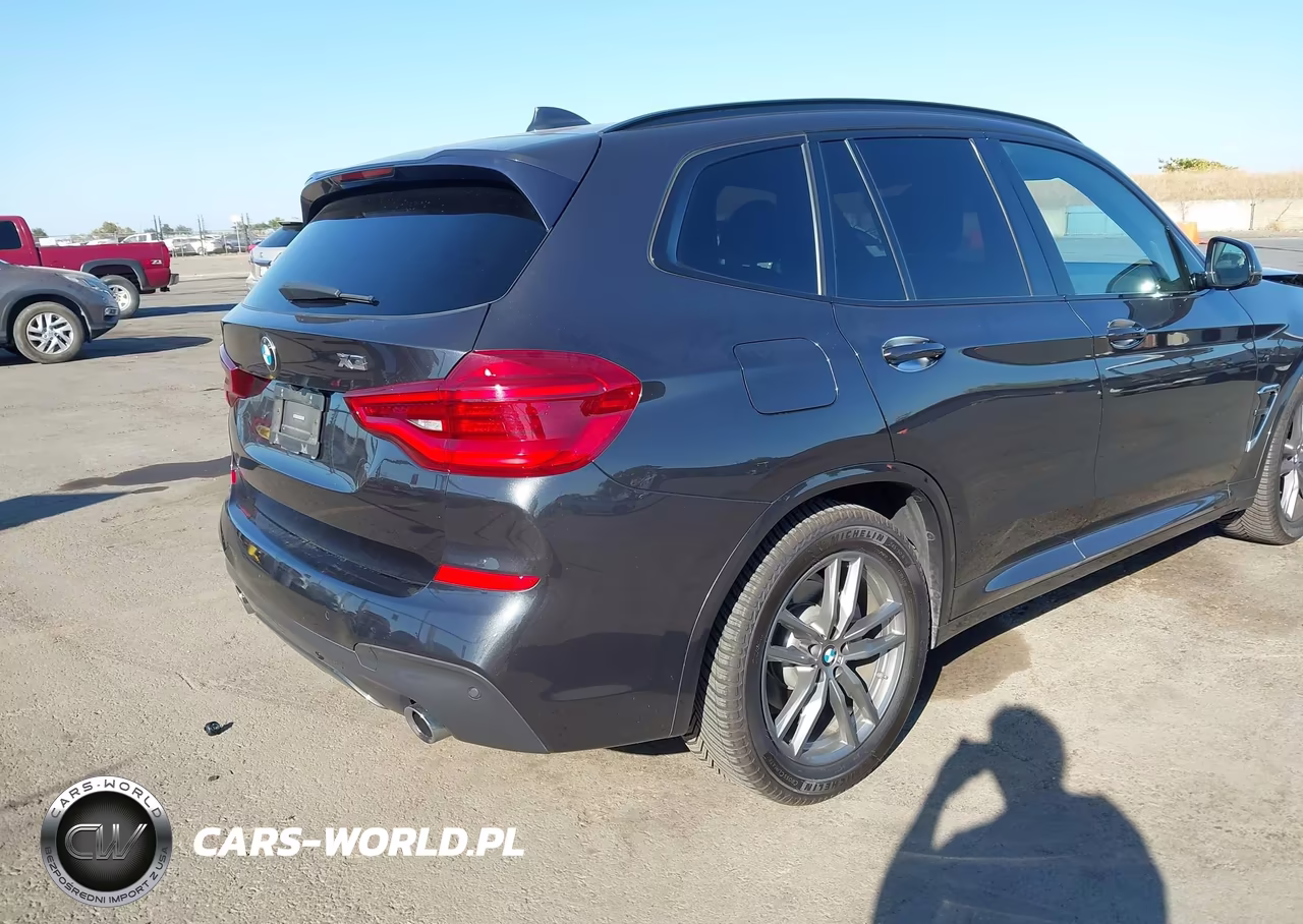 2019 BMW X3 Sdrive30I VIN:5UXTR7C51KLF29463 - 4