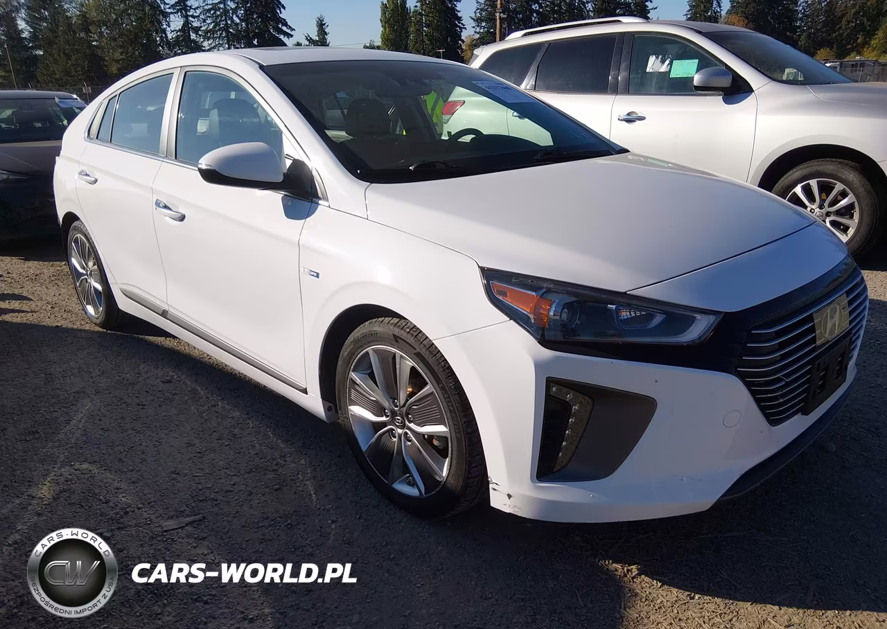 2019 Hyundai Ioniq Hybrid Limited VIN:KMHC85LC5KU112860 - 1