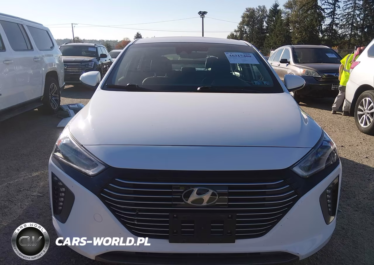 2019 Hyundai Ioniq Hybrid Limited VIN:KMHC85LC5KU112860 - 13