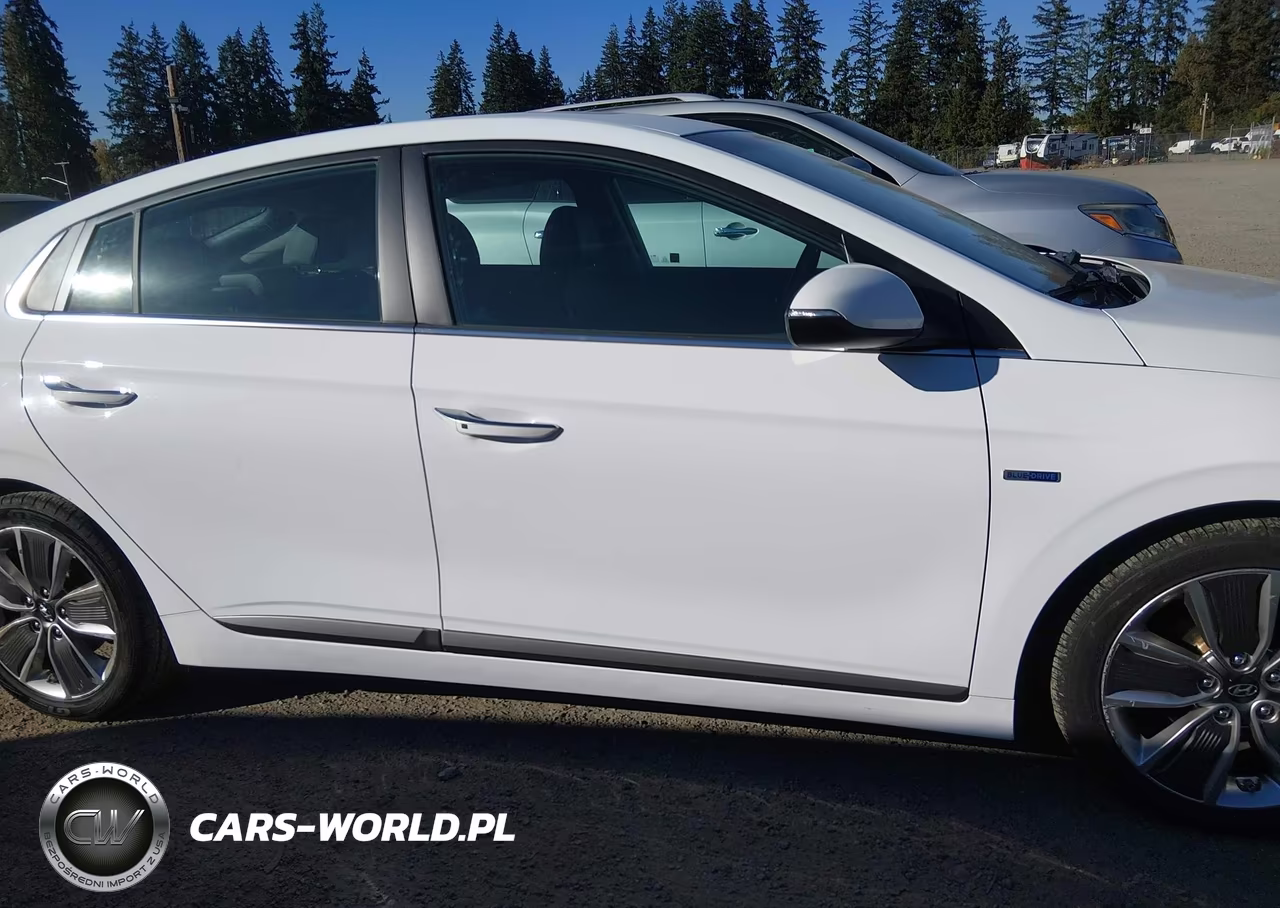 2019 Hyundai Ioniq Hybrid Limited VIN:KMHC85LC5KU112860 - 14