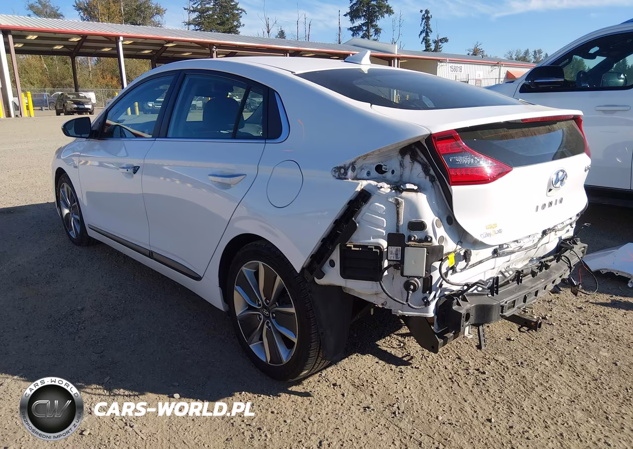 2019 Hyundai Ioniq Hybrid Limited VIN:KMHC85LC5KU112860 - 3