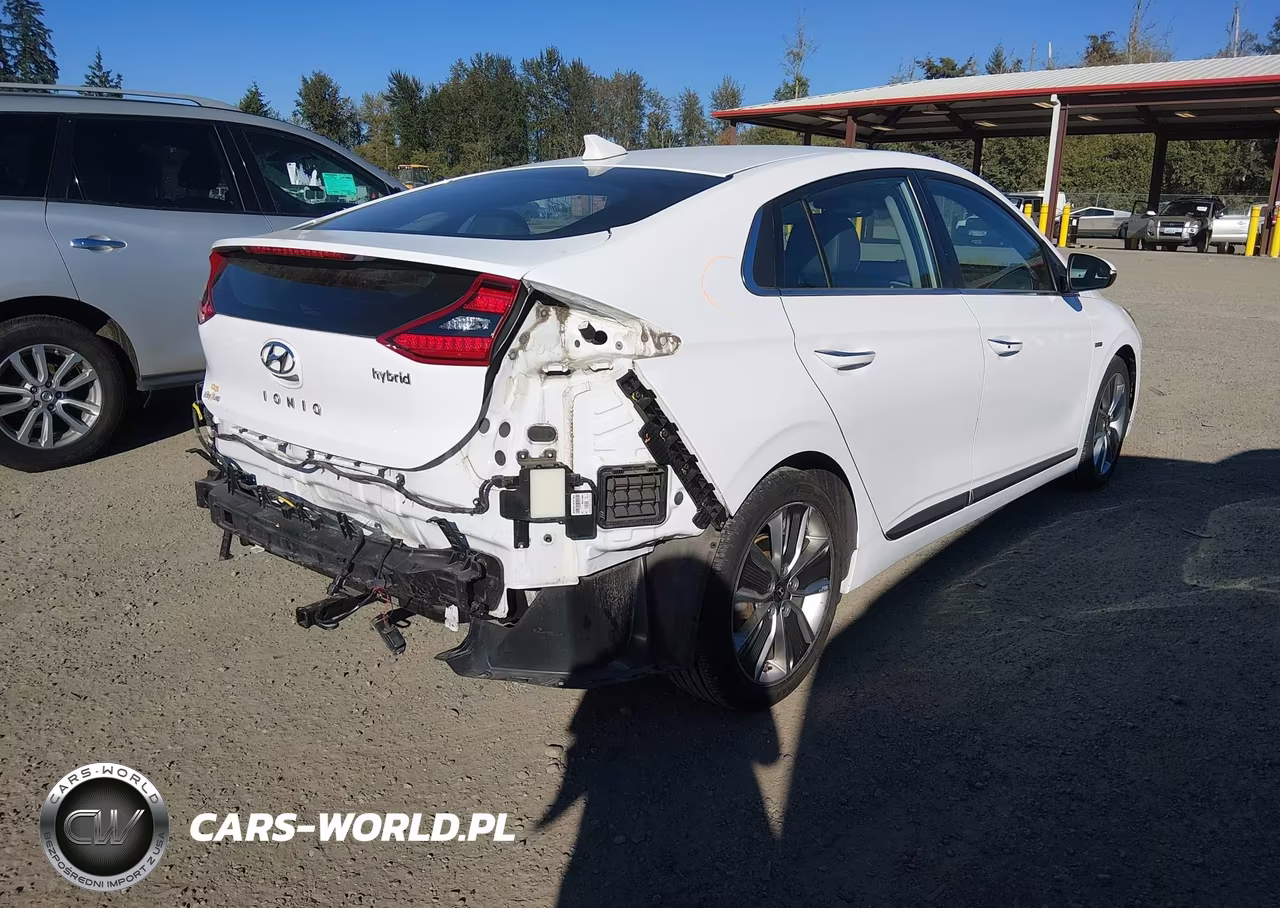 2019 Hyundai Ioniq Hybrid Limited VIN:KMHC85LC5KU112860 - 4