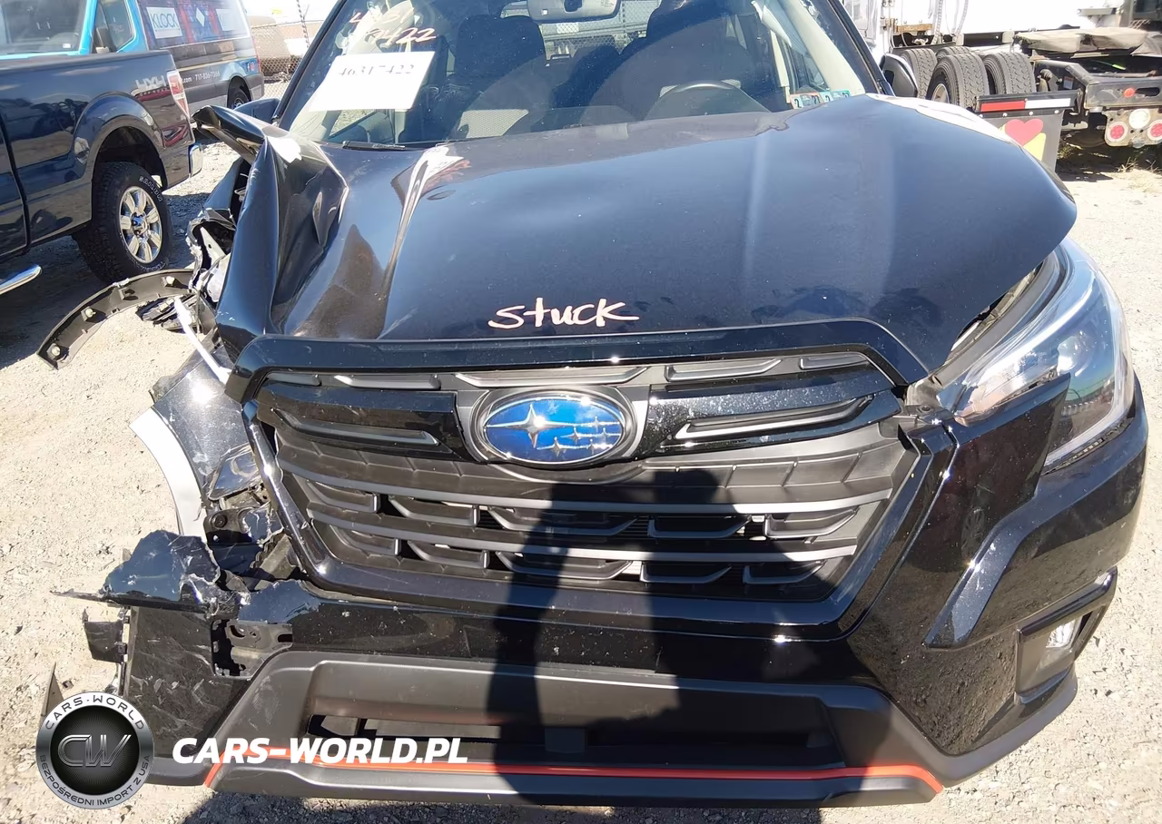 2023 Subaru Forester Sport VIN:JF2SKAJC6PH421848 - 10