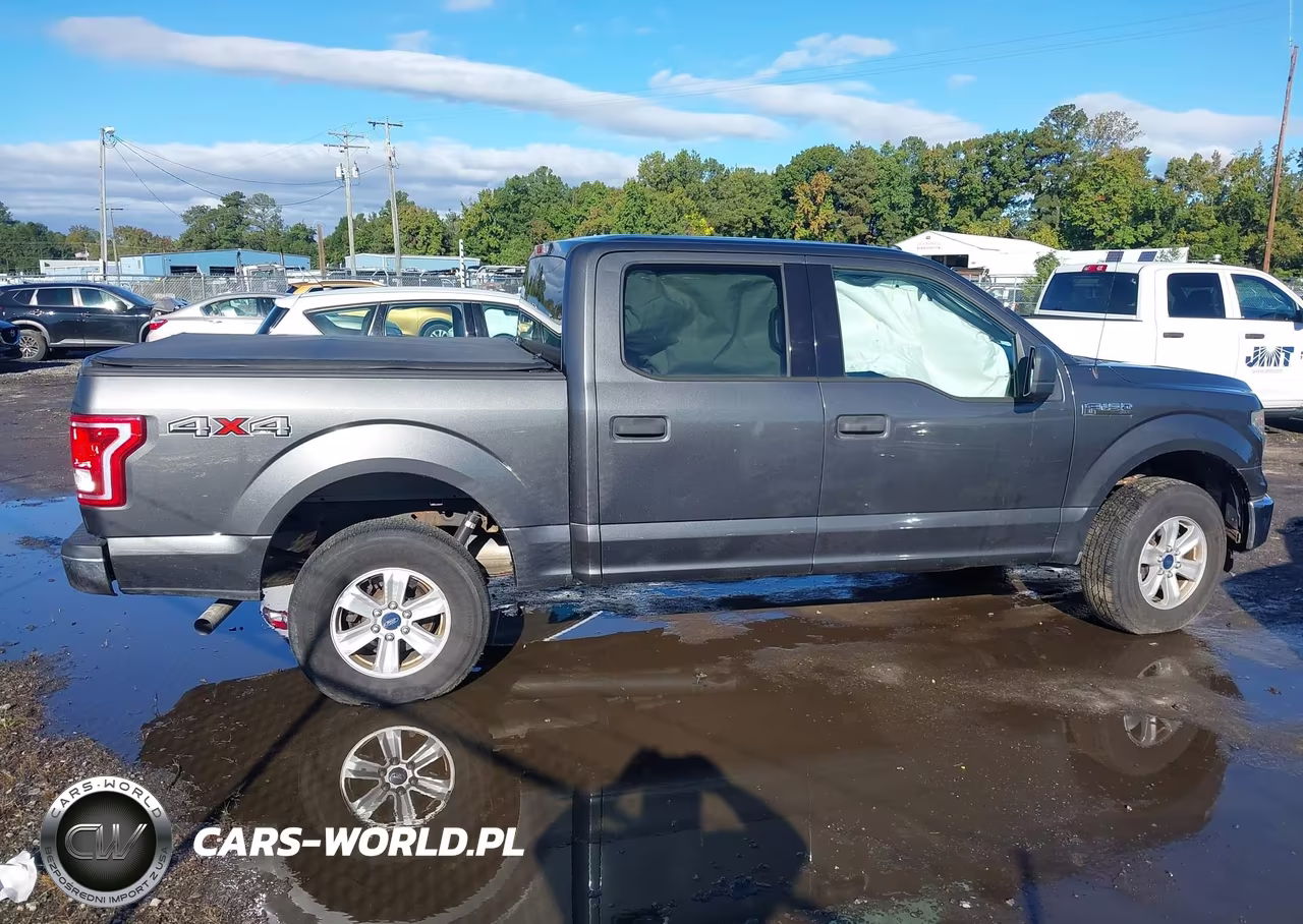 2016 Ford F-150 Xlt VIN:1FTEW1EF8GFA87077 - 13