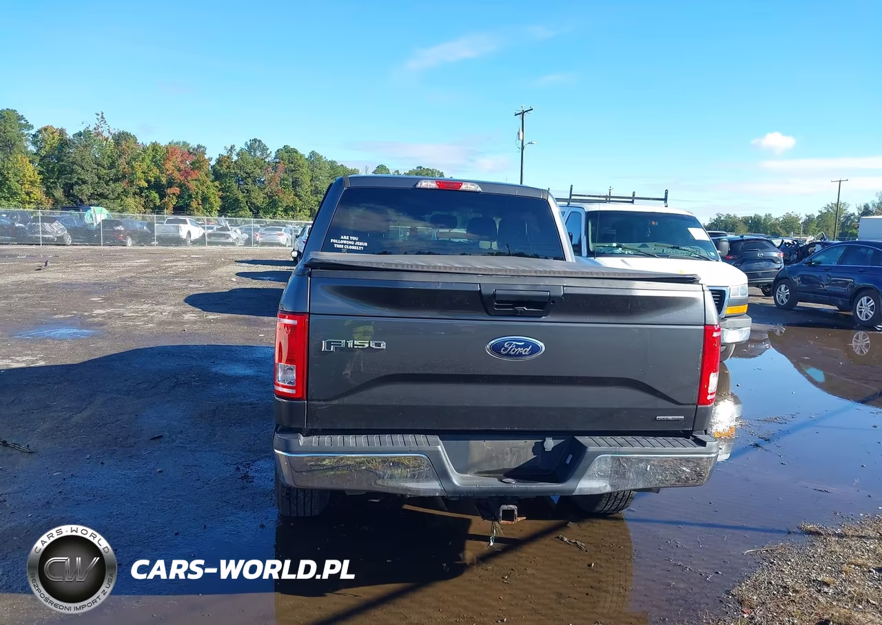 2016 Ford F-150 Xlt VIN:1FTEW1EF8GFA87077 - 16