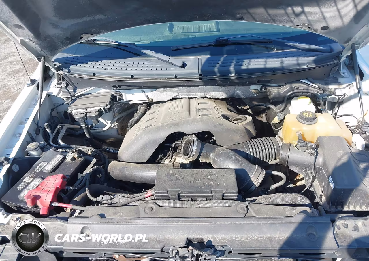2013 Ford F-150 Xl VIN:1FTFW1ET2DKG15659 - 10