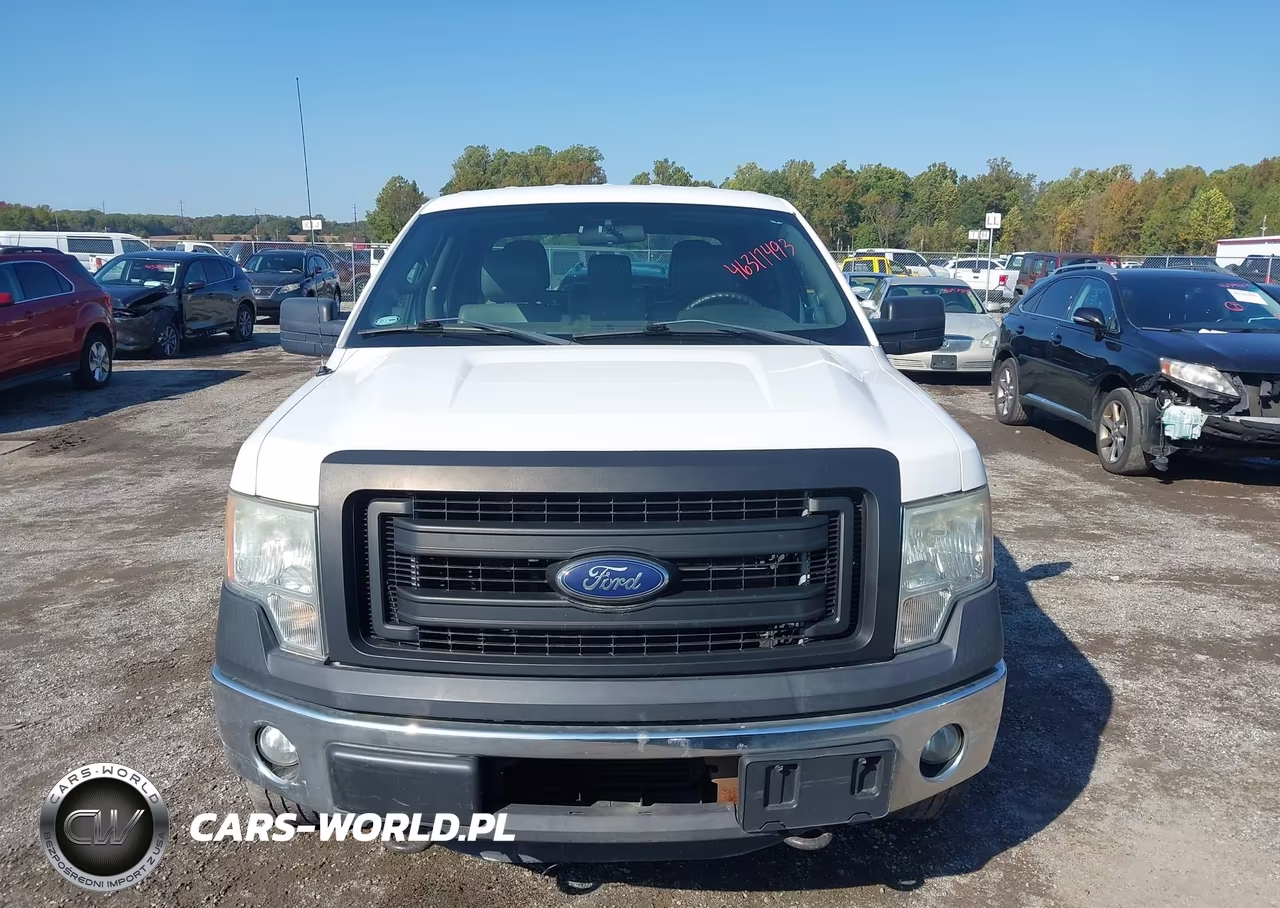 2013 Ford F-150 Xl VIN:1FTFW1ET2DKG15659 - 12