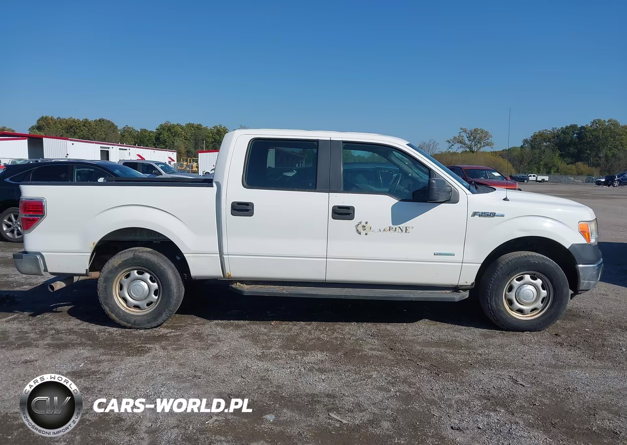 2013 Ford F-150 Xl VIN:1FTFW1ET2DKG15659 - 13