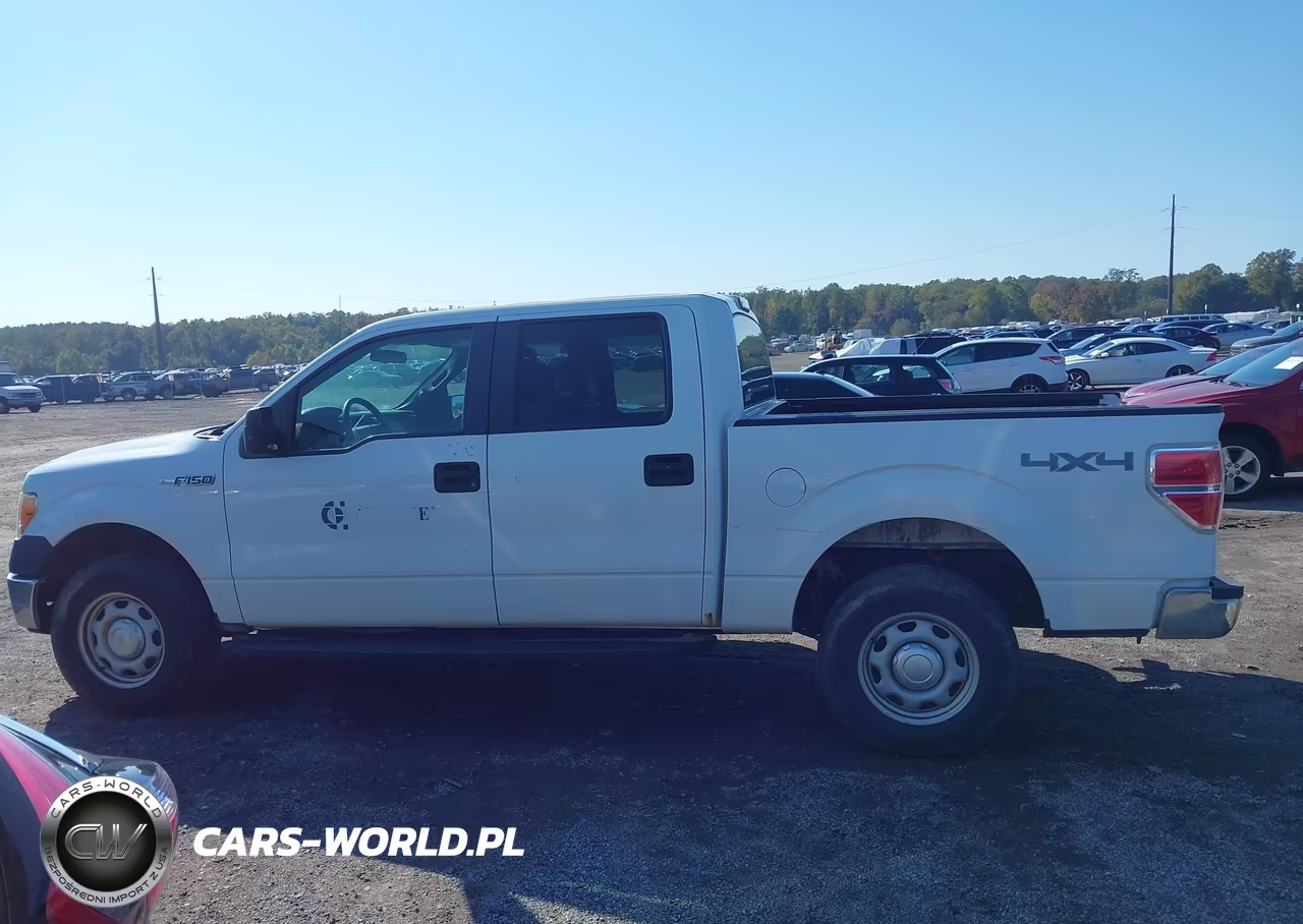 2013 Ford F-150 Xl VIN:1FTFW1ET2DKG15659 - 14