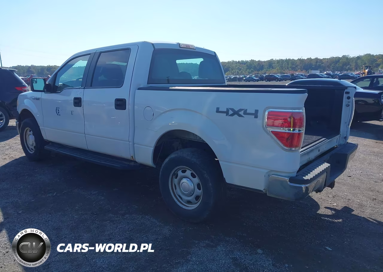 2013 Ford F-150 Xl VIN:1FTFW1ET2DKG15659 - 3