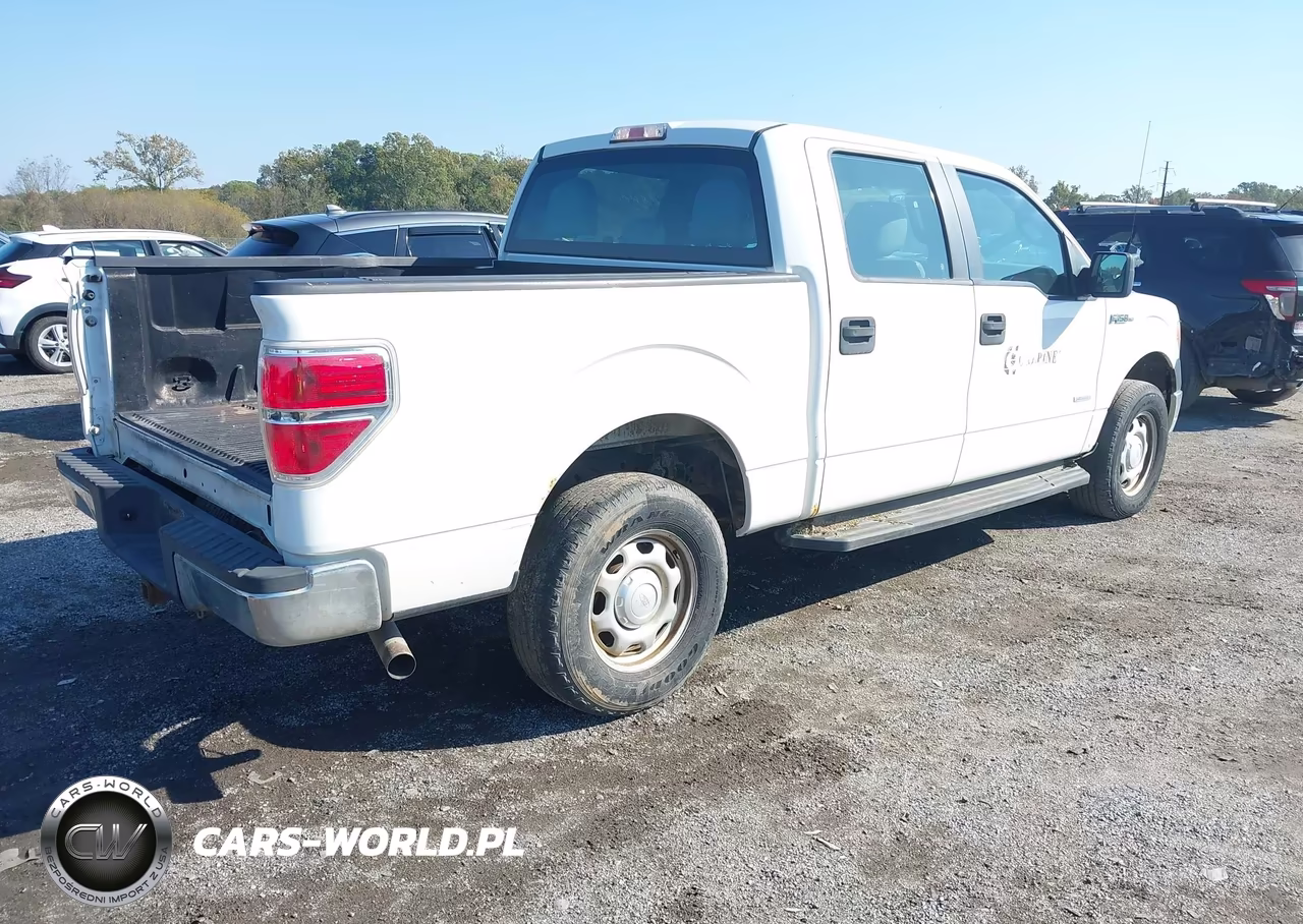 2013 Ford F-150 Xl VIN:1FTFW1ET2DKG15659 - 4