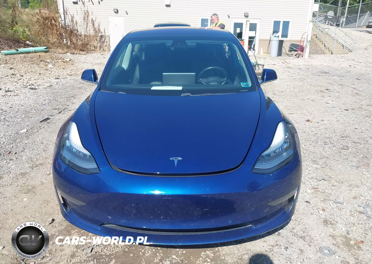 2019 Tesla Model 3 Long Range-Mid Range-Standard Range-Standard Range Plus VIN:5YJ3E1EA9KF301179 - 11
