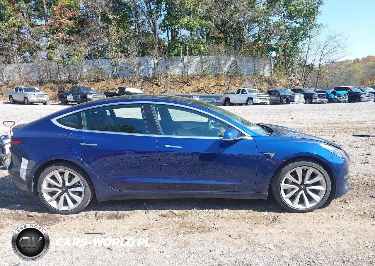 2019 Tesla Model 3 Long Range-Mid Range-Standard Range-Standard Range Plus VIN:5YJ3E1EA9KF301179 - 12