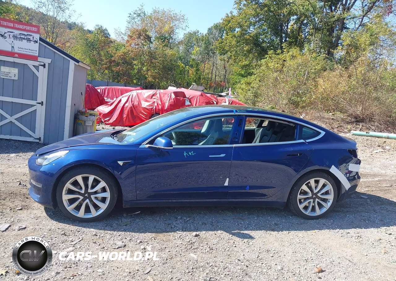 2019 Tesla Model 3 Long Range-Mid Range-Standard Range-Standard Range Plus VIN:5YJ3E1EA9KF301179 - 13