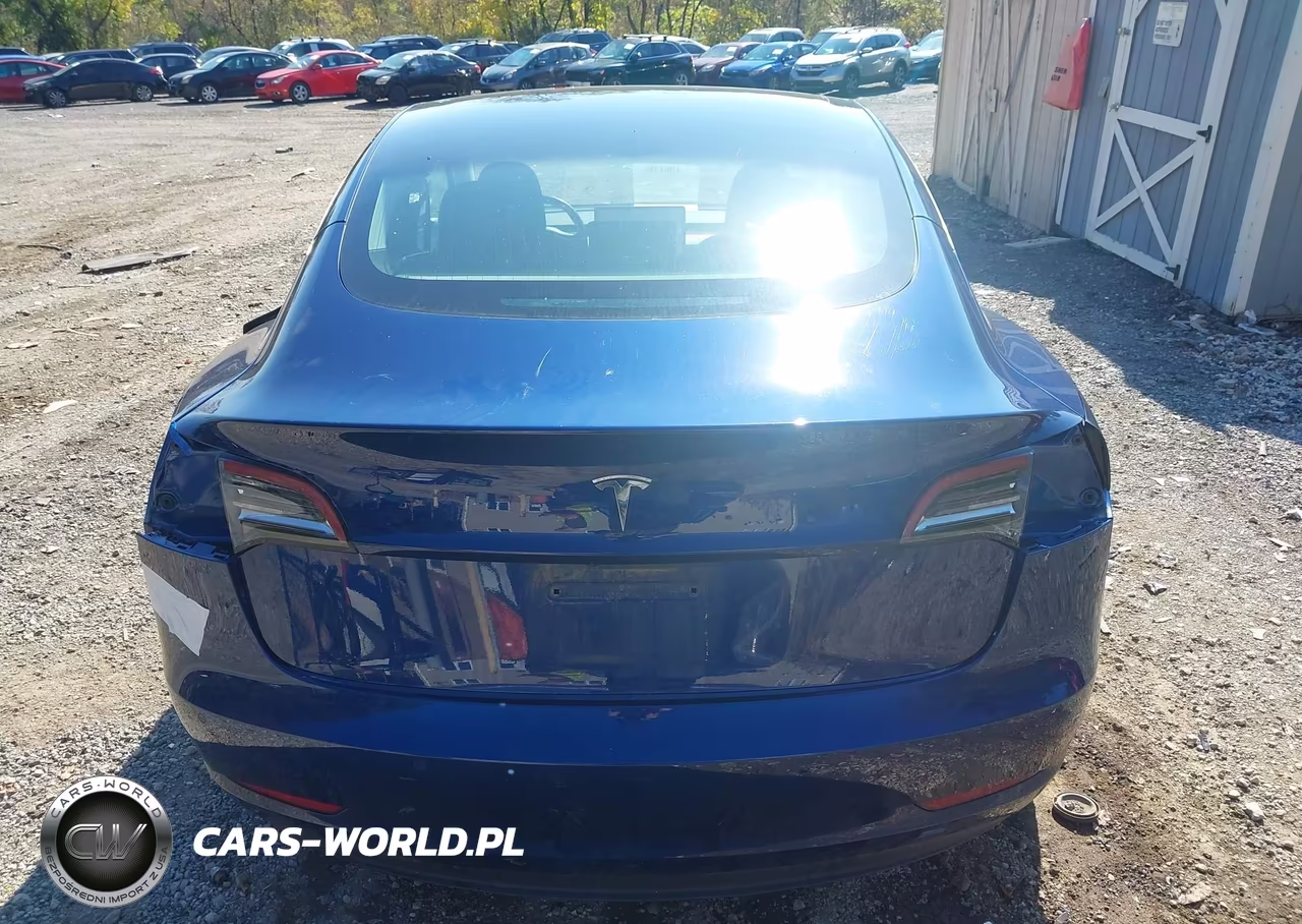 2019 Tesla Model 3 Long Range-Mid Range-Standard Range-Standard Range Plus VIN:5YJ3E1EA9KF301179 - 15