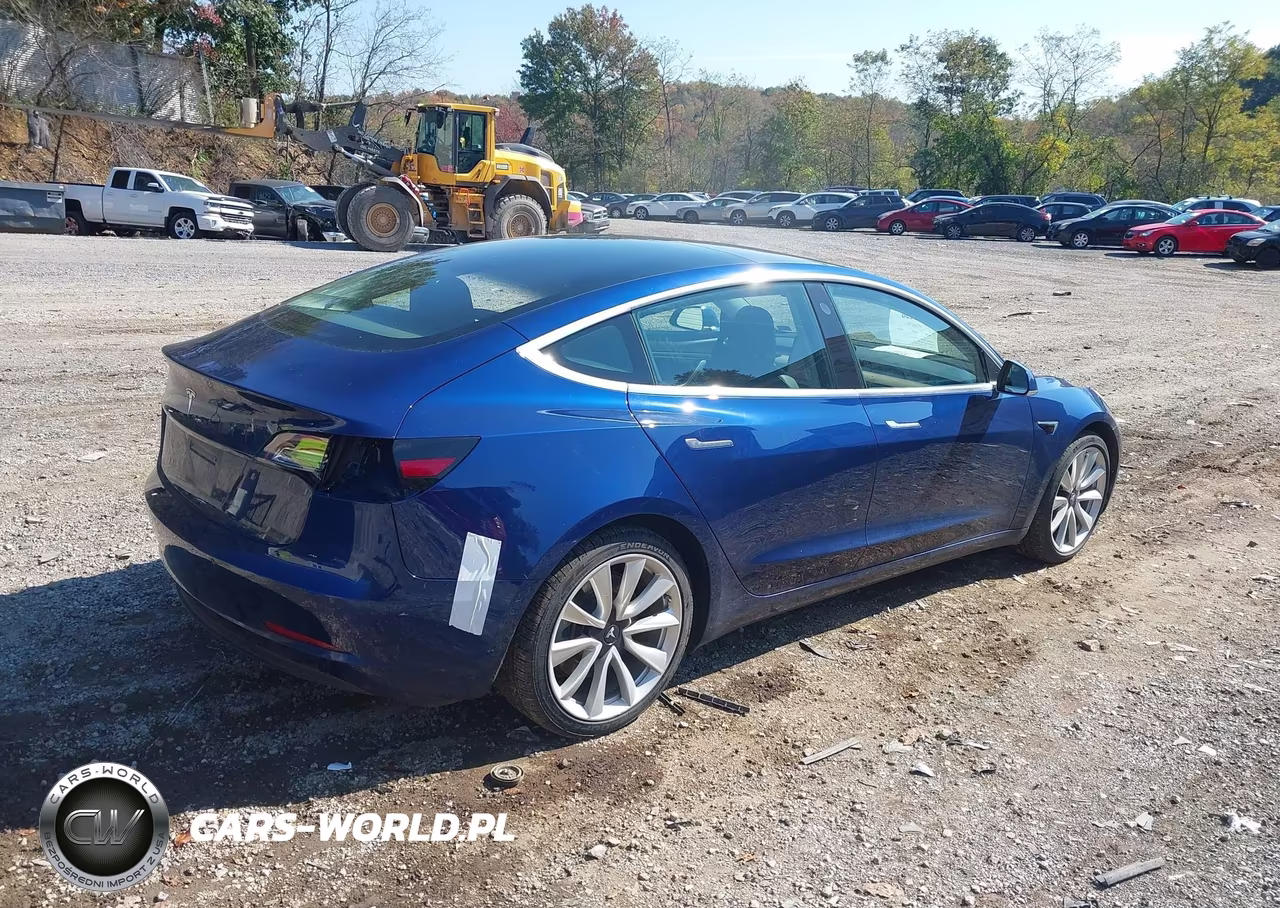 2019 Tesla Model 3 Long Range-Mid Range-Standard Range-Standard Range Plus VIN:5YJ3E1EA9KF301179 - 4