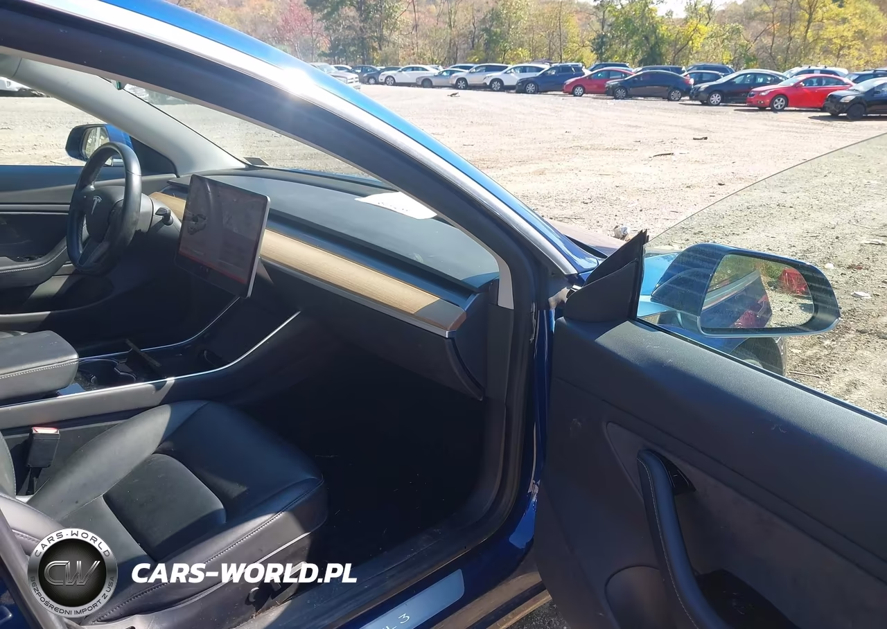 2019 Tesla Model 3 Long Range-Mid Range-Standard Range-Standard Range Plus VIN:5YJ3E1EA9KF301179 - 5