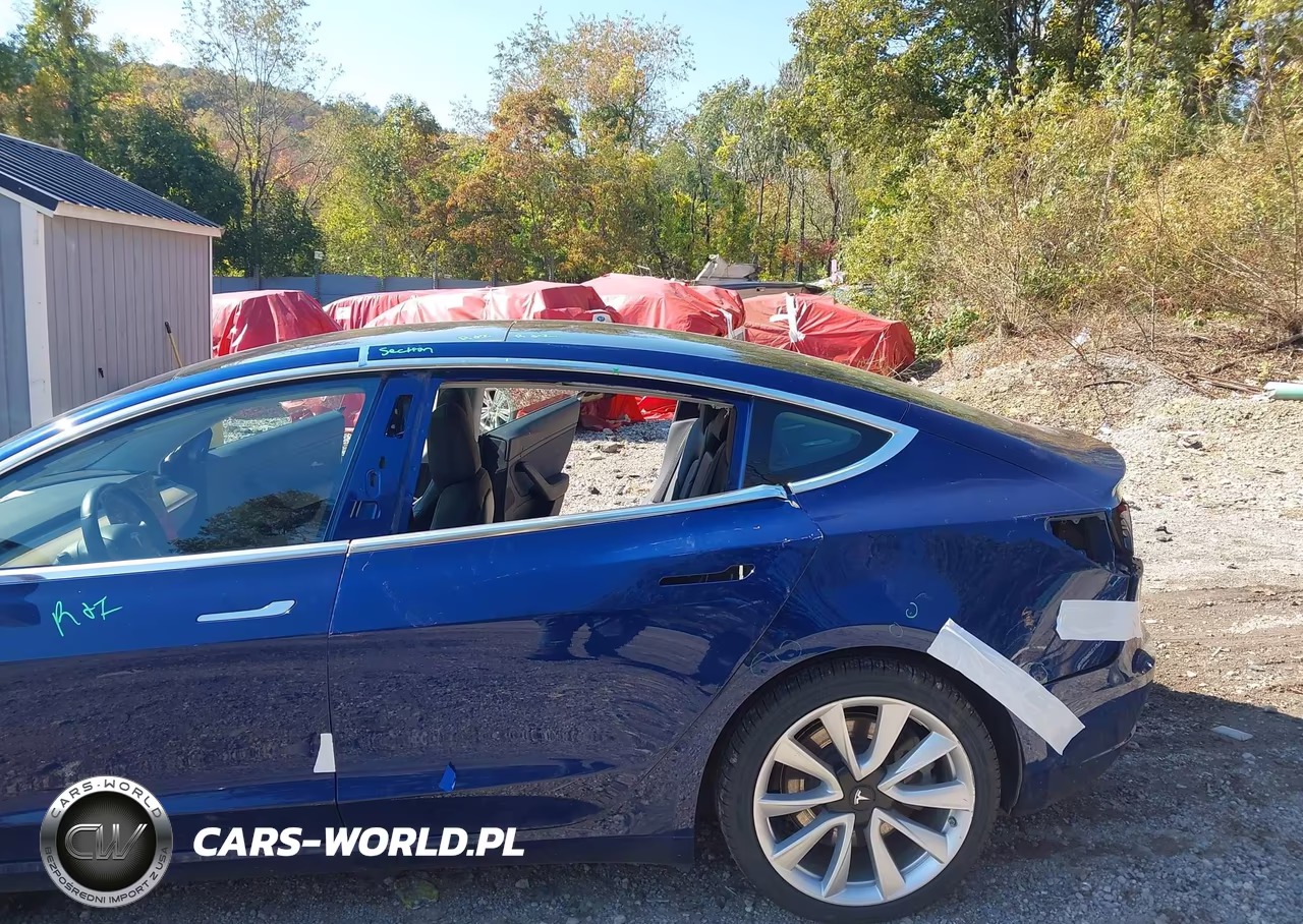 2019 Tesla Model 3 Long Range-Mid Range-Standard Range-Standard Range Plus VIN:5YJ3E1EA9KF301179 - 6