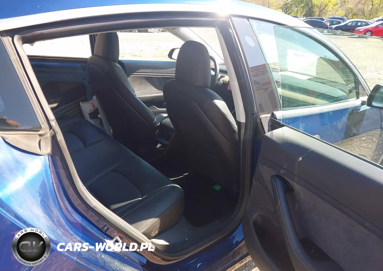 2019 Tesla Model 3 Long Range-Mid Range-Standard Range-Standard Range Plus VIN:5YJ3E1EA9KF301179 - 8