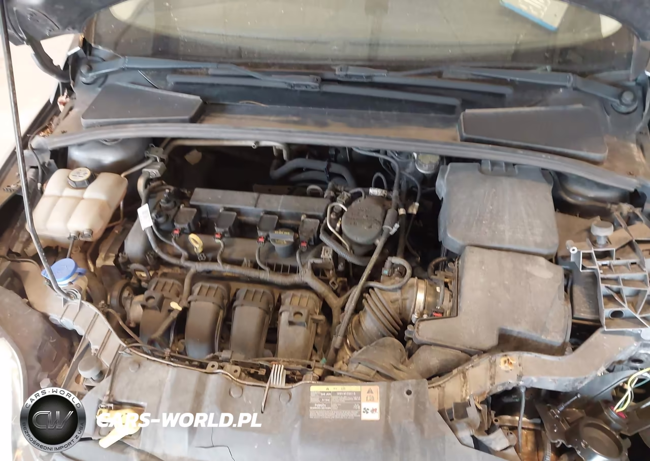 2013 Ford Focus Se VIN:1FADP3K26DL339417 - 10