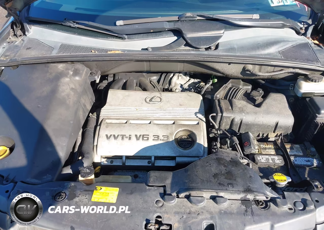 2005 Lexus Rx 330 VIN:2T2HA31U85C061074 - 10