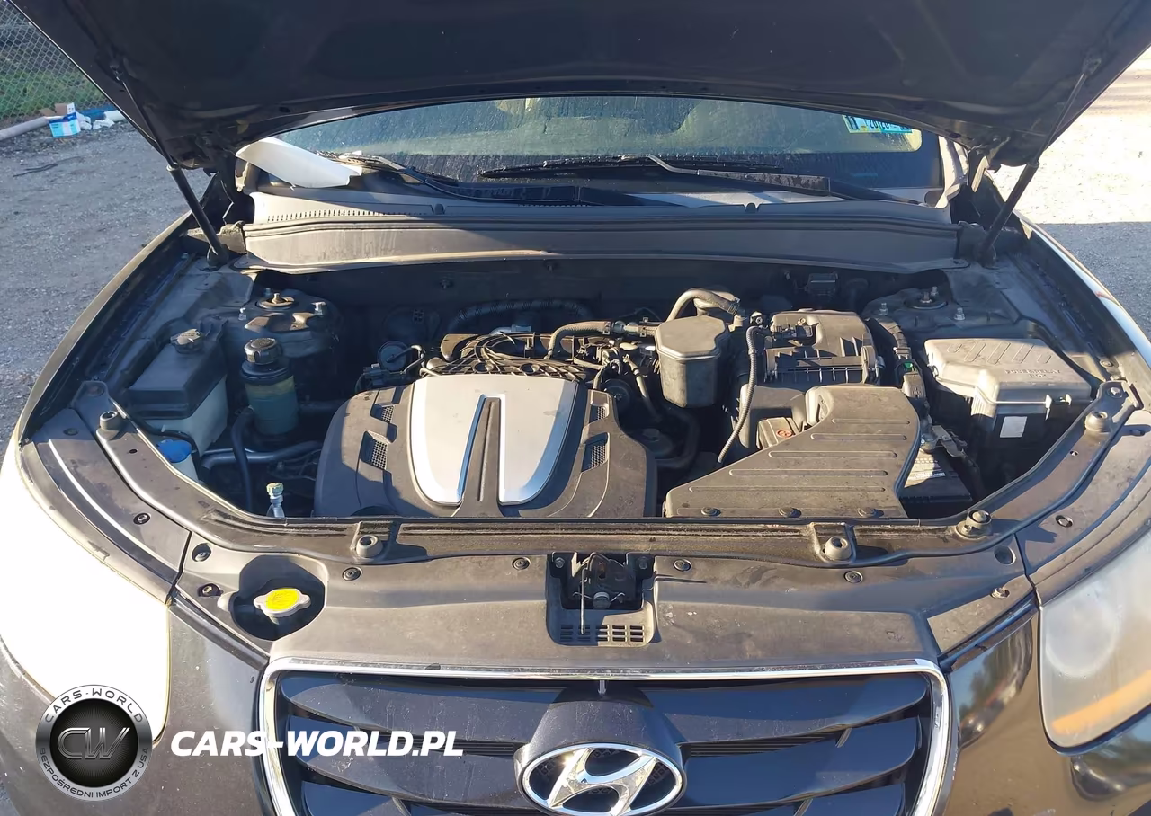 2010 Hyundai Santa Fe Limited V6 VIN:5NMSKDAG9AH385016 - 10