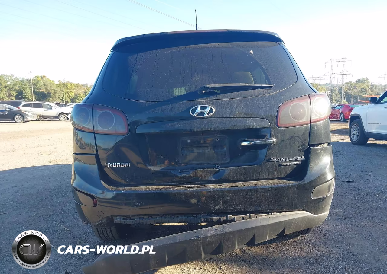2010 Hyundai Santa Fe Limited V6 VIN:5NMSKDAG9AH385016 - 6