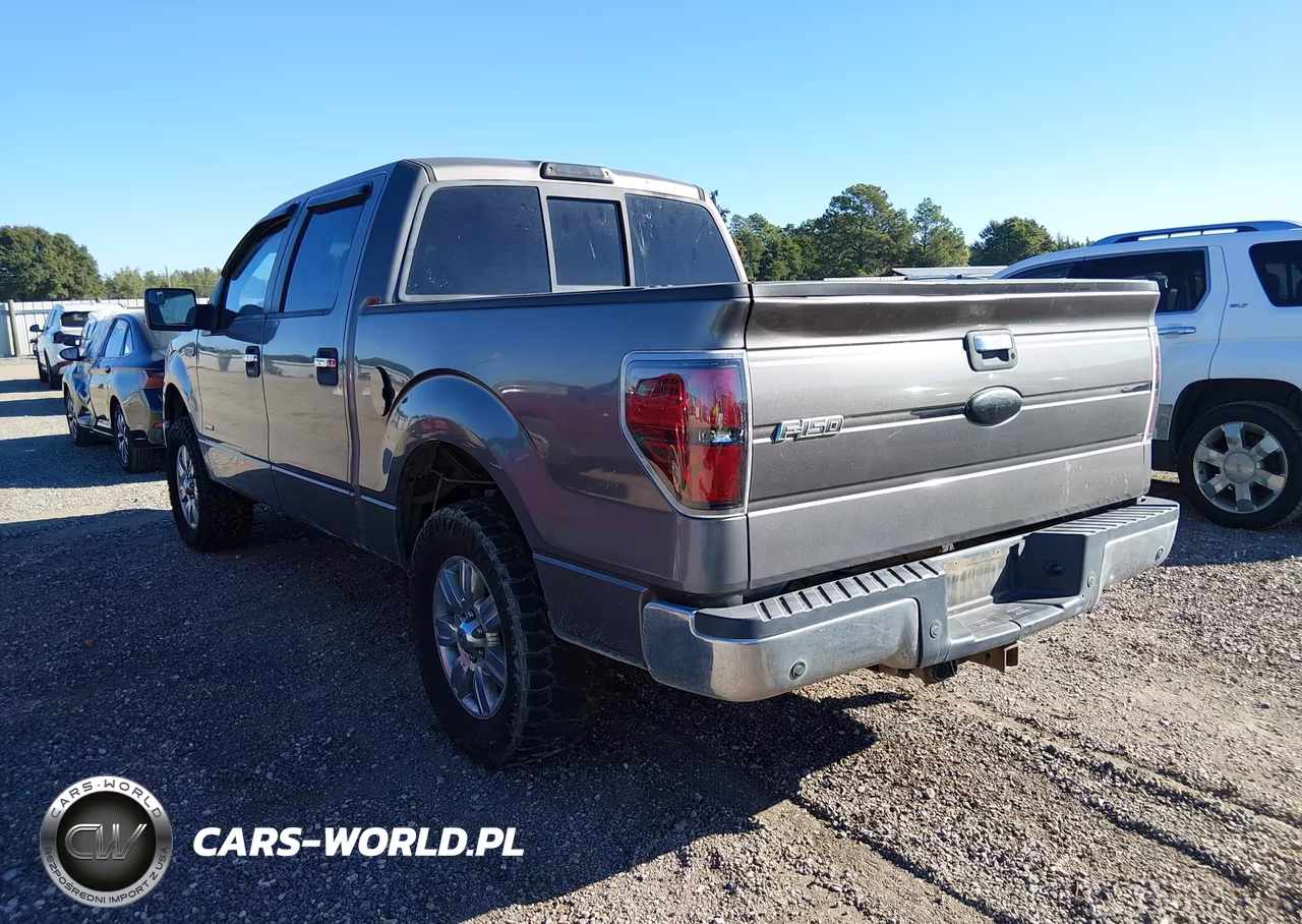 2011 Ford F-150 Xlt VIN:1FTFW1CT2BKD85380 - 3